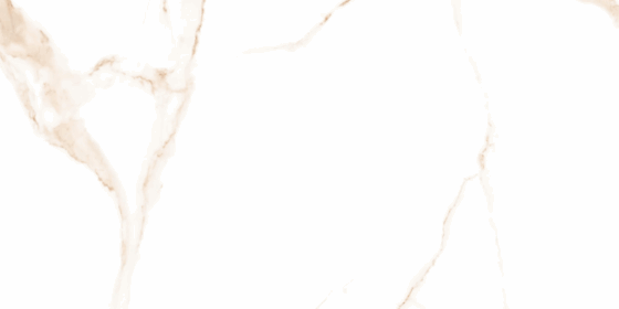 ALSACIA GOLD MT 30x60 - Image 2